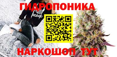 индика Ипатово