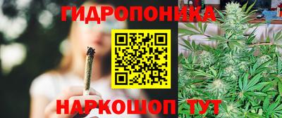 индика Ипатово