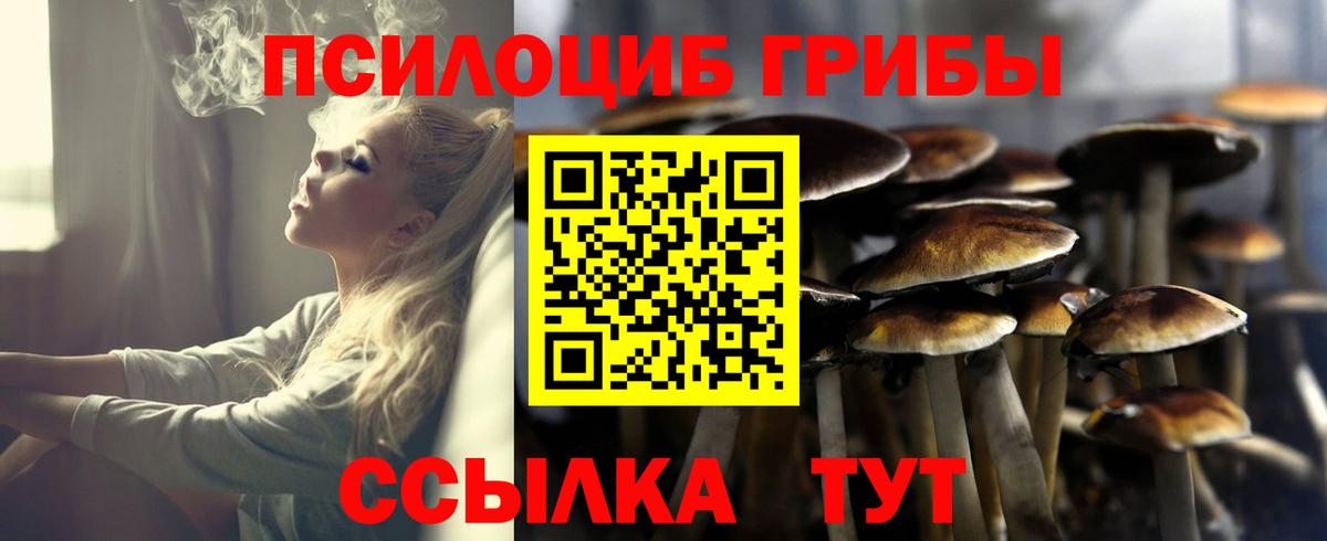 хочу   Вход с VPN  Набережные Челны  Галлюциногенные грибы мухоморы 