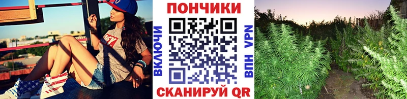 наркотики  Набережные Челны  Шишки марихуана марихуана 